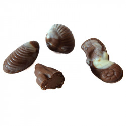 Fruit de mer praliné au chocolat au lait et sans sucre ajouté