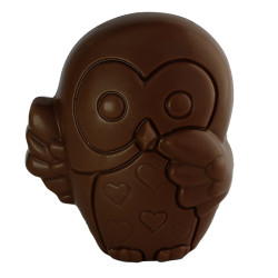 Coffret Hibou et cuillère de chocolat